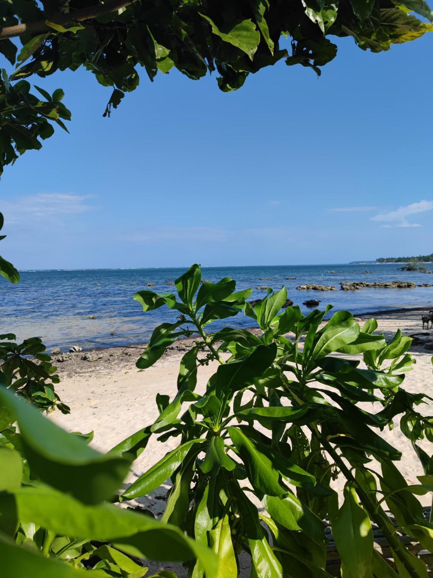 Daluyong Beach Resort General Luna  Exterior foto
