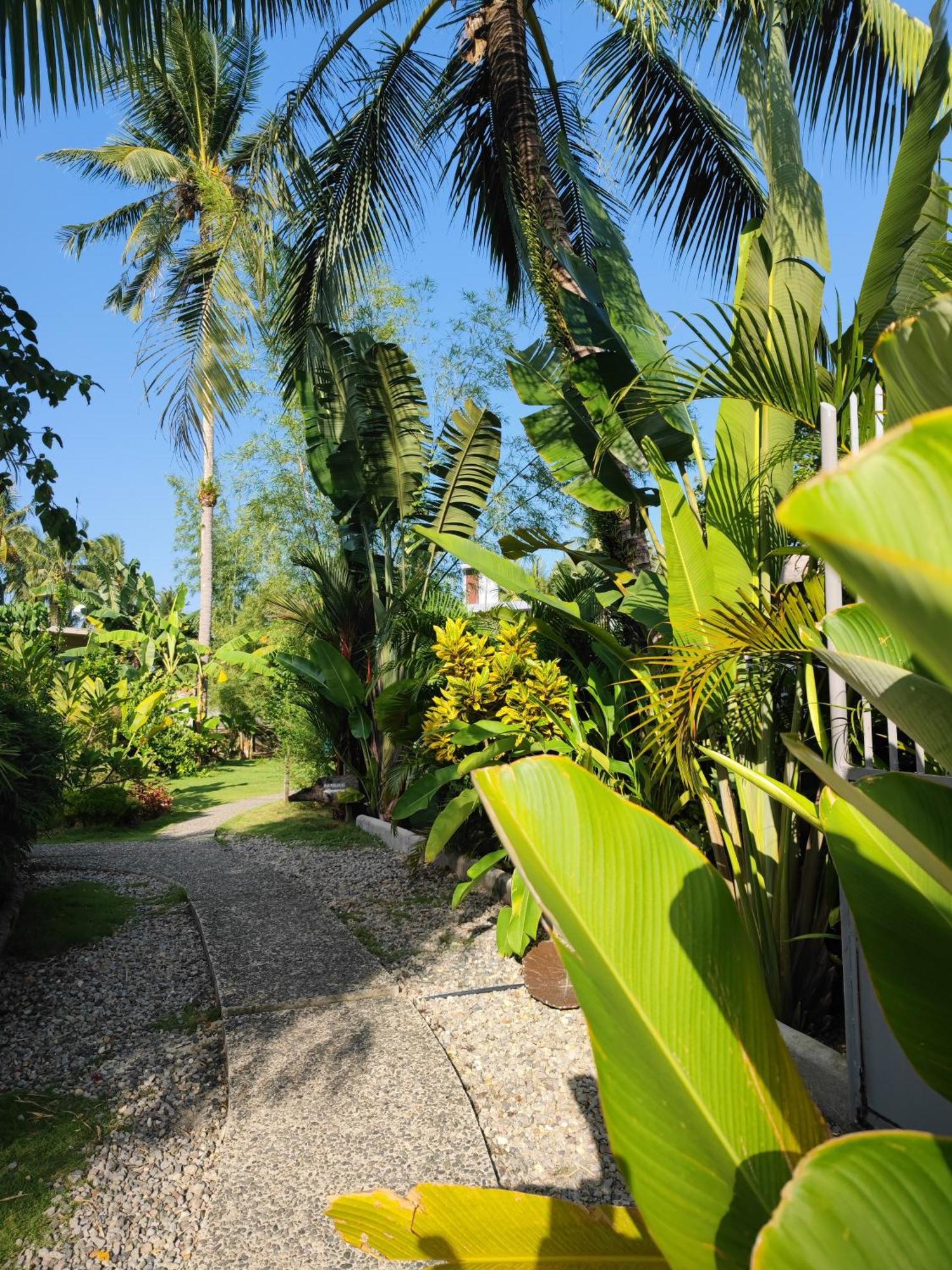 Daluyong Beach Resort General Luna  Exterior foto