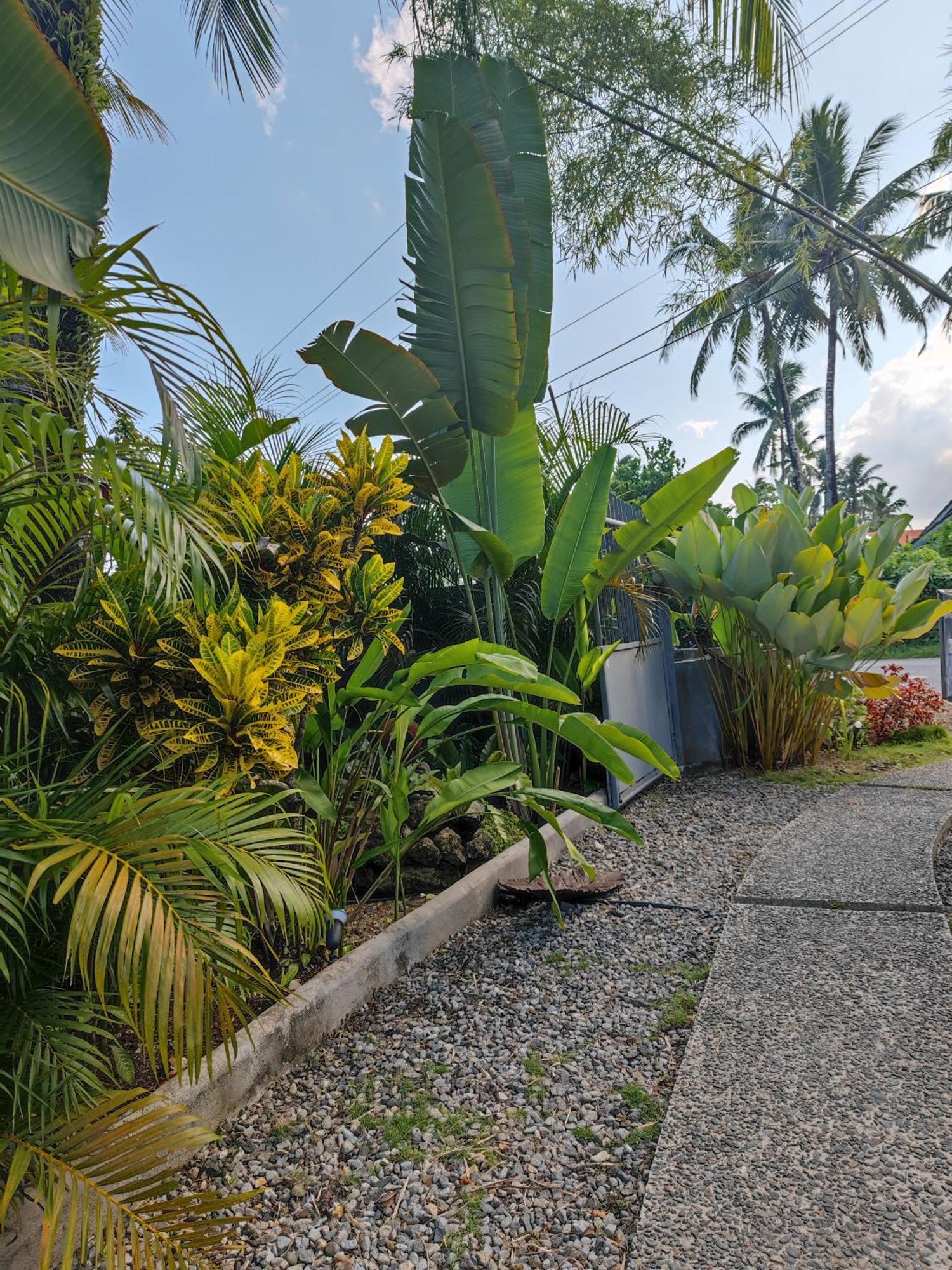 Daluyong Beach Resort General Luna  Exterior foto